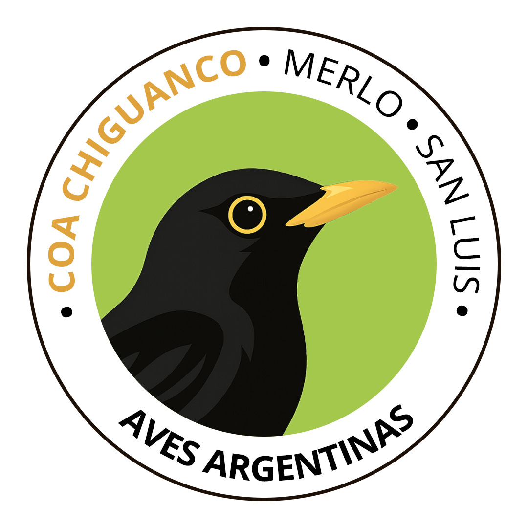 COA Chiguanco
