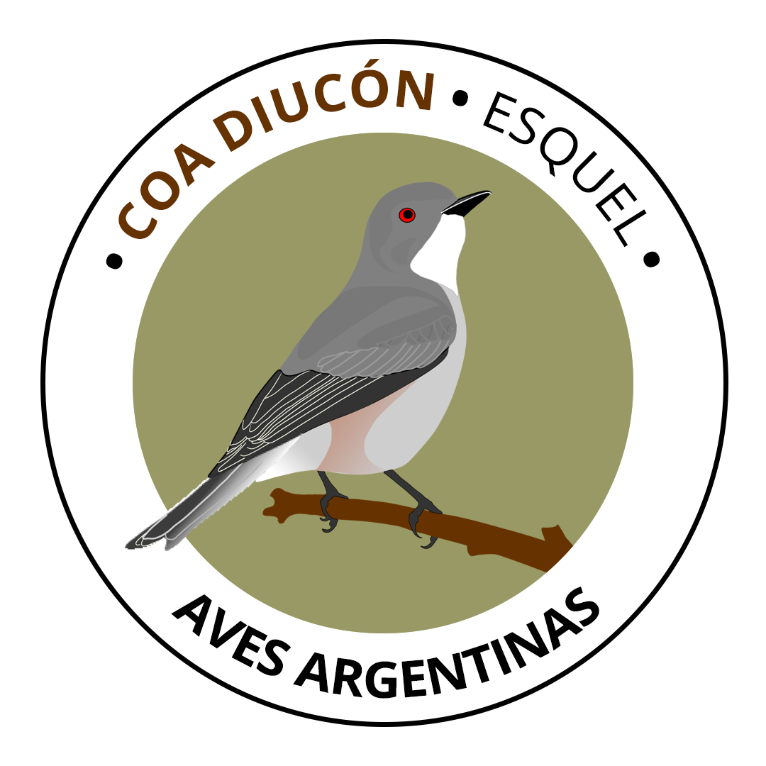 COA Diucón