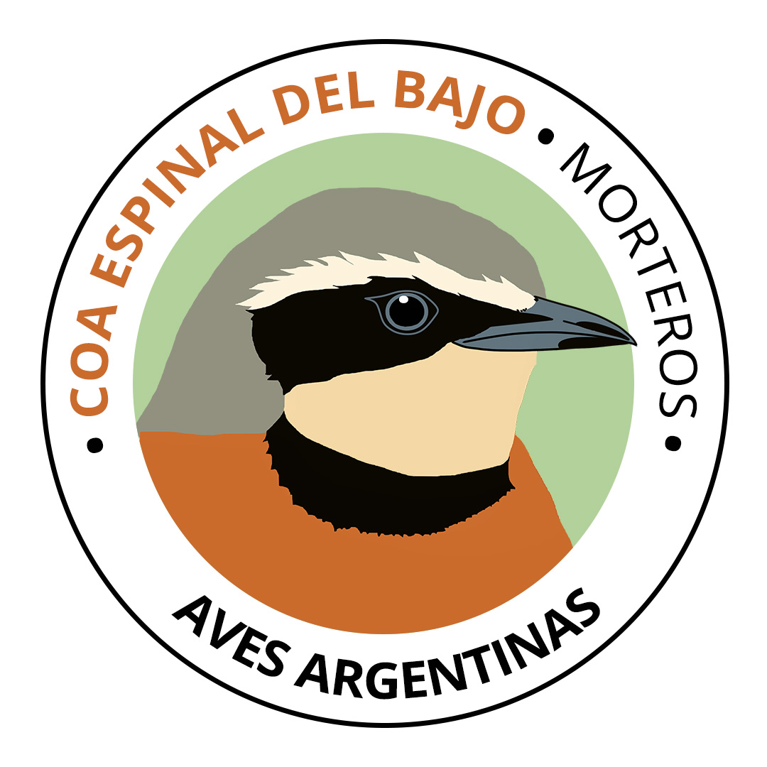 COA Espinal del bajo