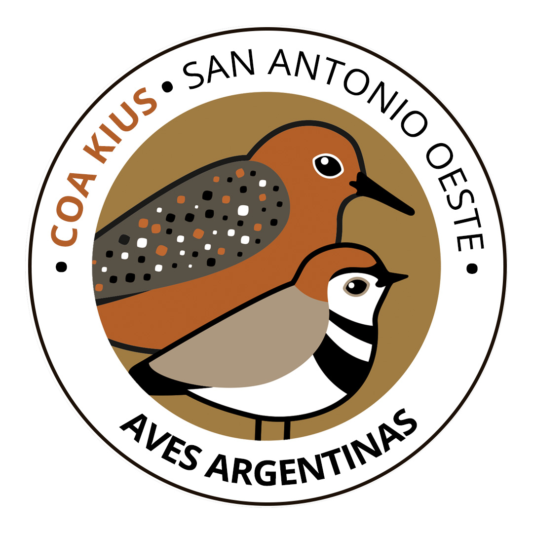 COA Kius