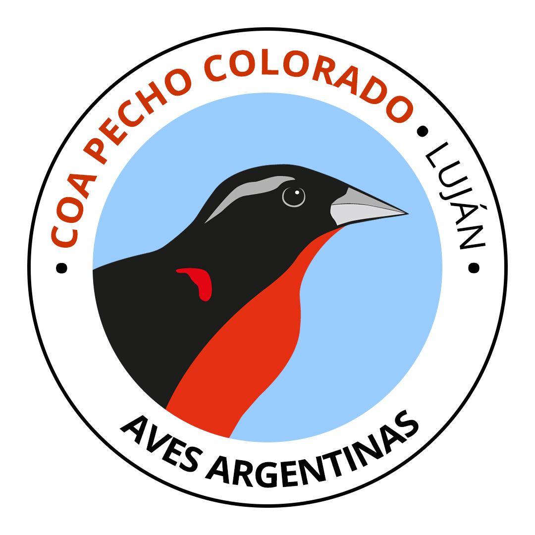 COA Pecho Colorado