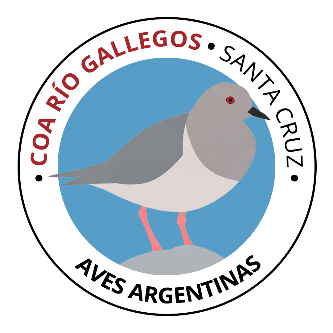COA Río Gallegos