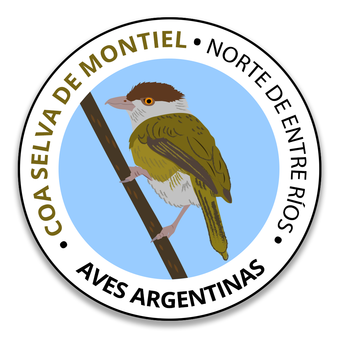 COA Selva de Montiel