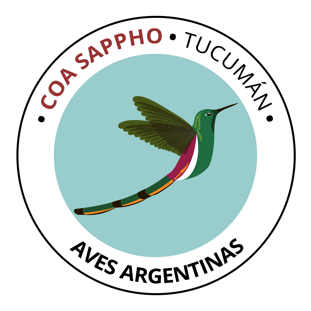 COA Sappho