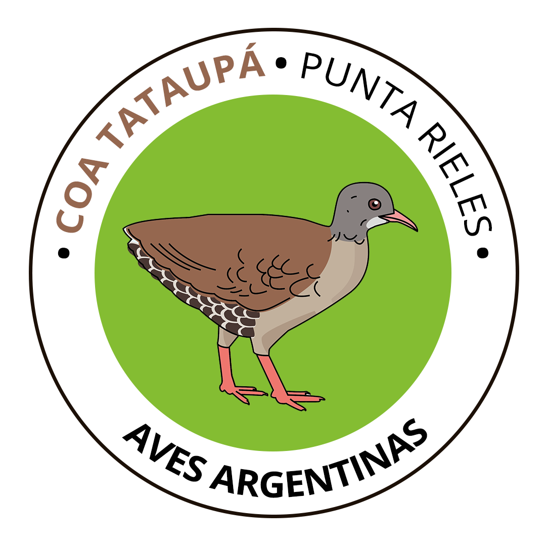 COA Tataupá