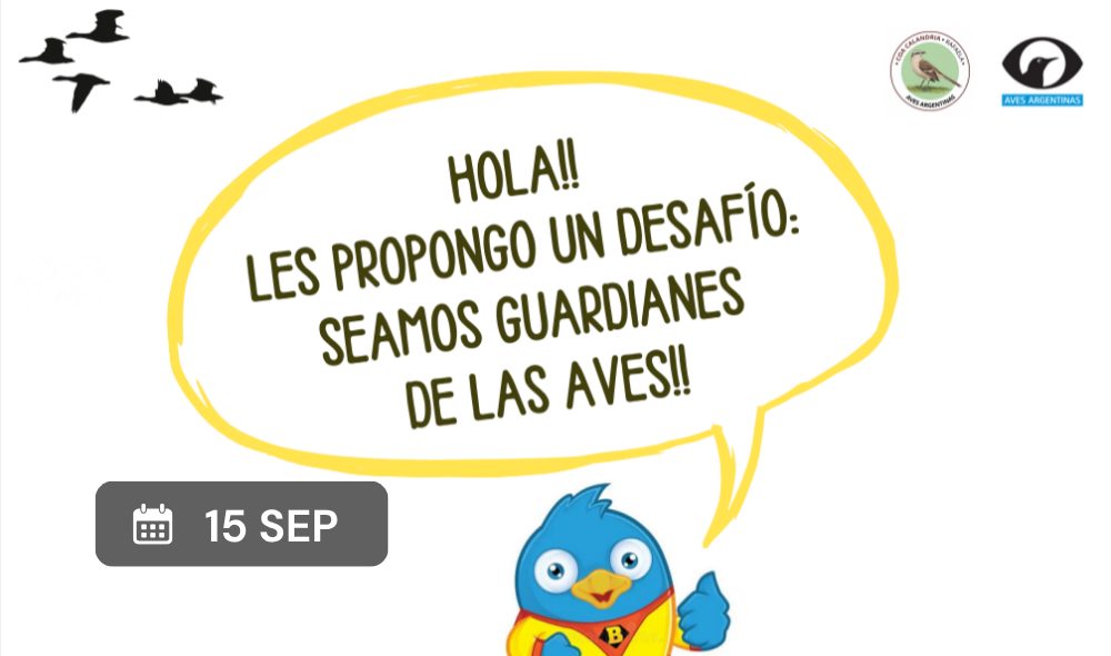 Event banner