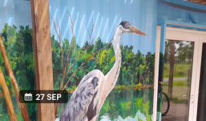 Salida de observación de aves en la Reserva Natural Urbana El Corredor