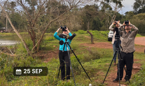 Taller de iniciación a la observación de aves