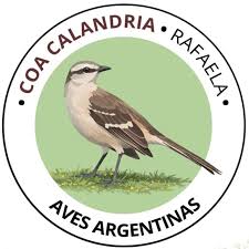 COA Calandria