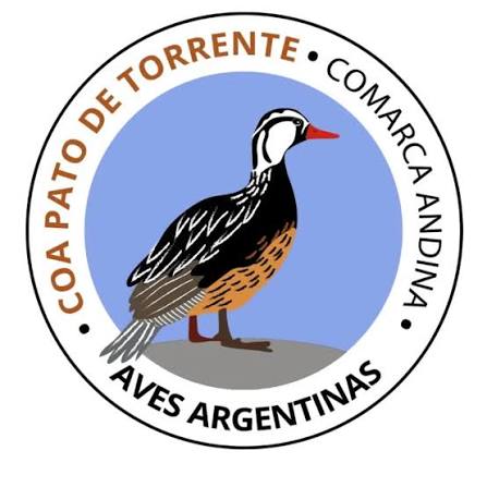 COA Pato de Torrente