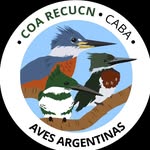 COA RECUCN