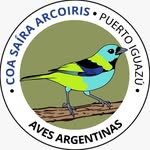 COA Saira Arcoiris