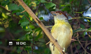 Naturaleza de Martin García