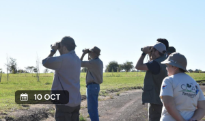 Gran Dia octubre