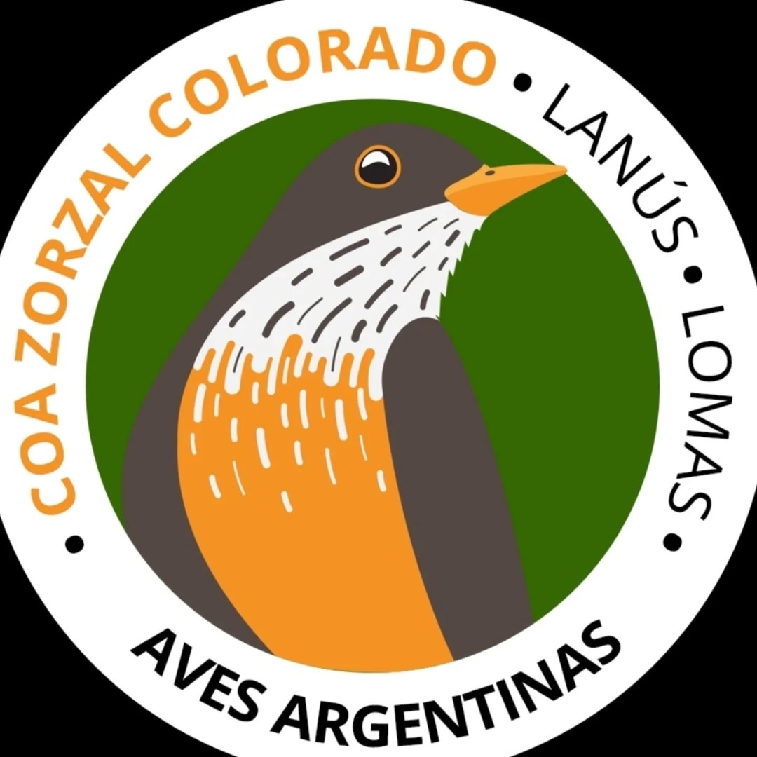 COA Zorzal Colorado
